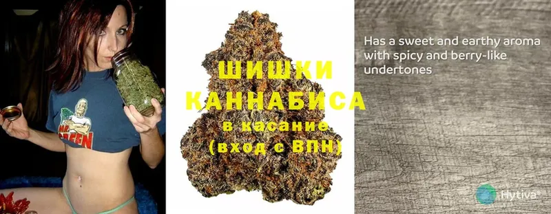 Шишки марихуана OG Kush  где купить   Рославль 